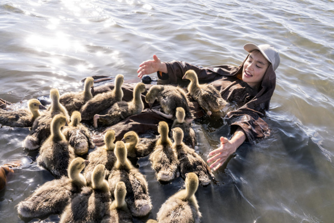 Les Chroniques ciné de Caro - Donnes moi des ailes Les Chroniques ciné de Caro - Donnes moi des ailes