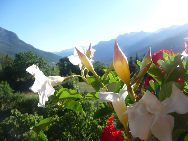 L’aromathérapie une méthode radicale et naturelle L’aromathérapie une méthode radicale et naturelle