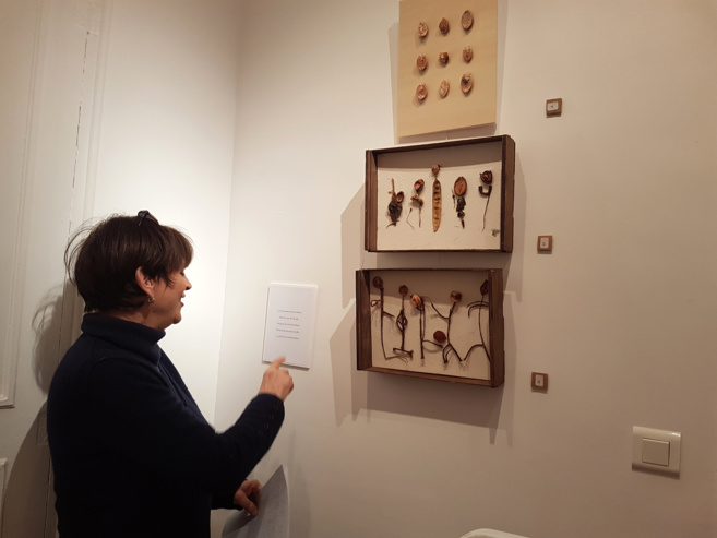 Une très belle exposition autour de la nature et des mots à l’INSPE Une très belle exposition autour de la nature et des mots à l’INSPE