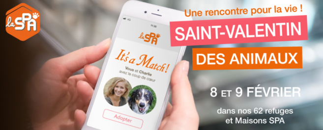 A la spa, Les animaux ont aussi le droit à leur Saint-Valentin A la spa, Les animaux ont aussi le droit à leur Saint-Valentin