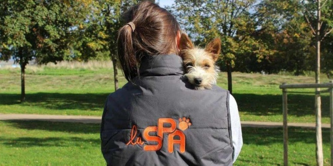 A la spa, Les animaux ont aussi le droit à leur Saint-Valentin A la spa, Les animaux ont aussi le droit à leur Saint-Valentin