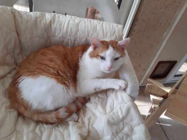 La saint valentin des animaux avait lieu ce week-end a la spa ! La saint valentin des animaux avait lieu ce week-end a la spa !