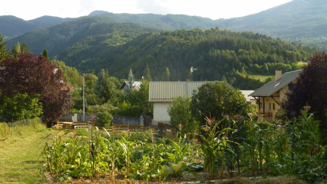 Rencontre avec une Herbaliste Rencontre avec une Herbaliste
