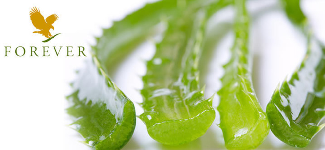 Découverte de l'aloe vera et du Pura detox Découverte de l'aloe vera et du Pura detox