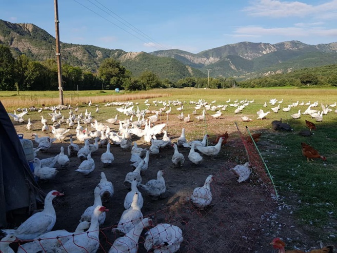 Le public se fournit auprès des producteurs locaux Le public se fournit auprès des producteurs locaux