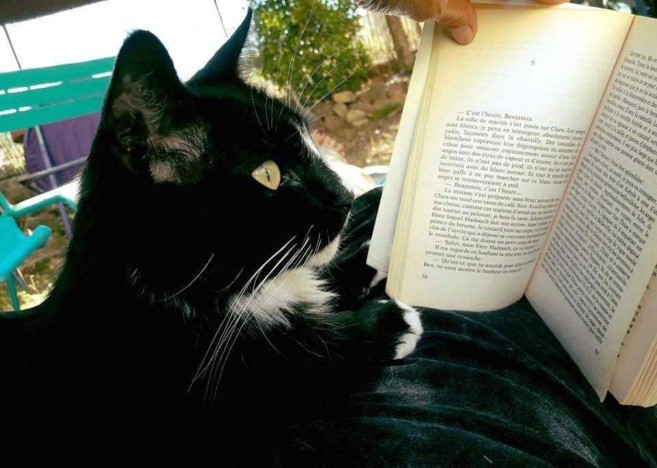 La pandémie n'arrête pas l'enseignement La pandémie n'arrête pas l'enseignement