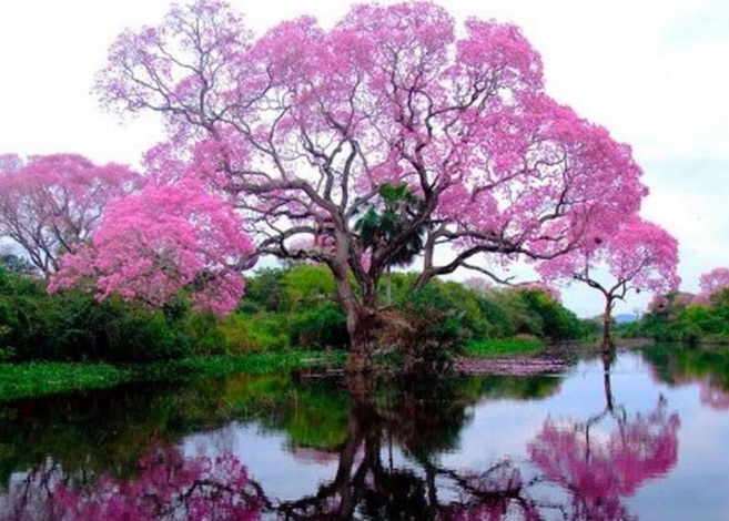 émisssion " En chemin vers soi " # 2 émisssion " En chemin vers soi " # 2