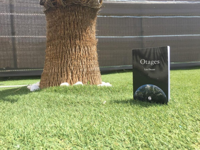 Otages, un ouvrage de Léo Descart Otages, un ouvrage de Léo Descart