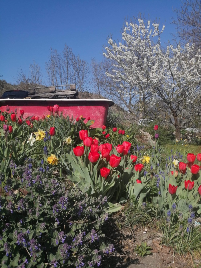 Les anciens de Fréquence Mistral témoignent du confinement et de l'après... Anoushka Les anciens de Fréquence Mistral témoignent du confinement et de l'après... Anoushka