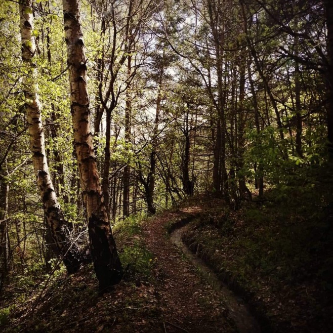 Les anciens de Fréquence Mistral témoignent du confinement et de l'après... Anoushka Les anciens de Fréquence Mistral témoignent du confinement et de l'après... Anoushka