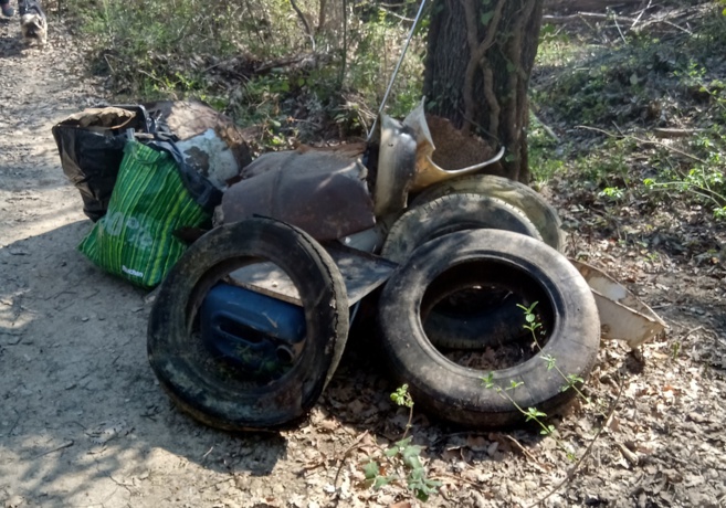 Nettoyer, réparer la nature Nettoyer, réparer la nature