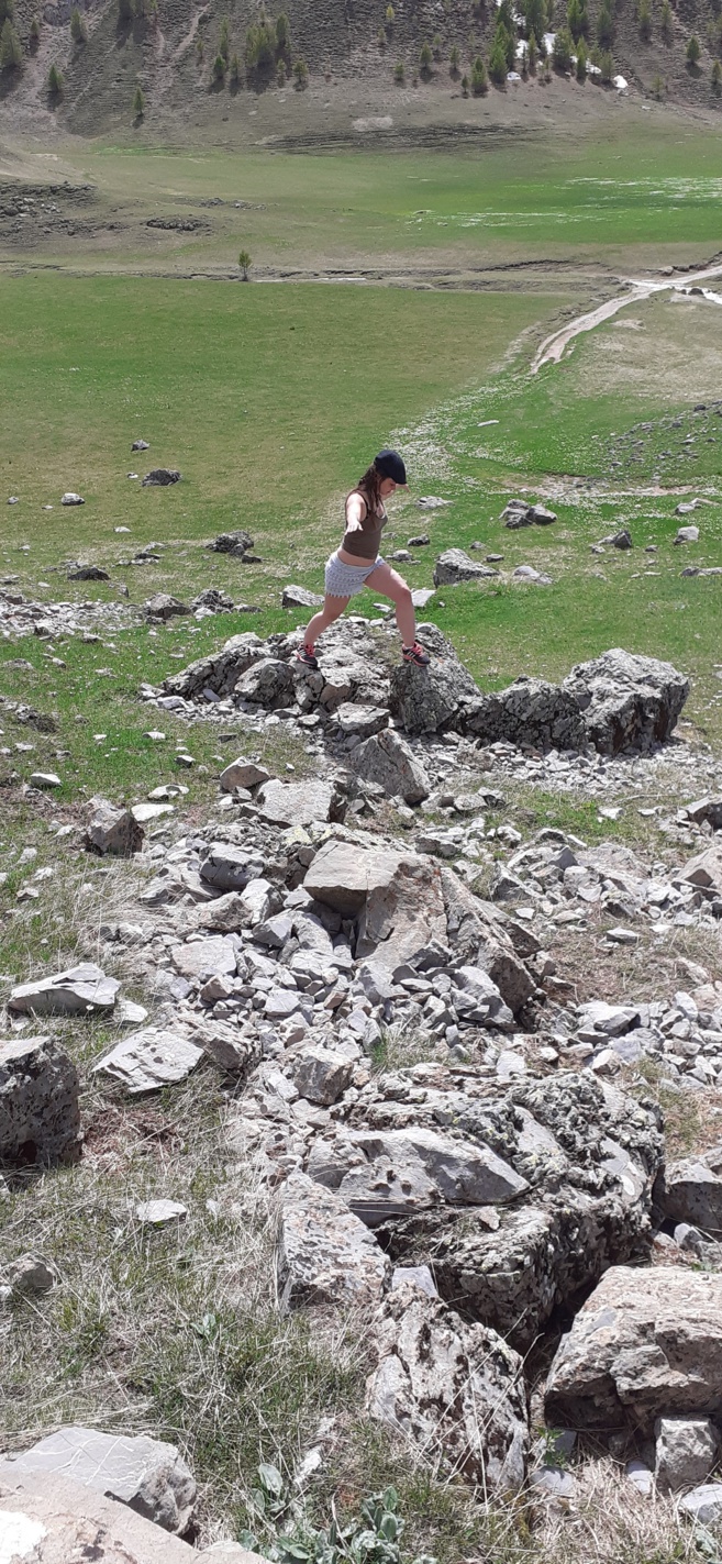 Les Chroniques de Caro - Les aliments au top pour la santé ! Les Chroniques de Caro - Les aliments au top pour la santé !