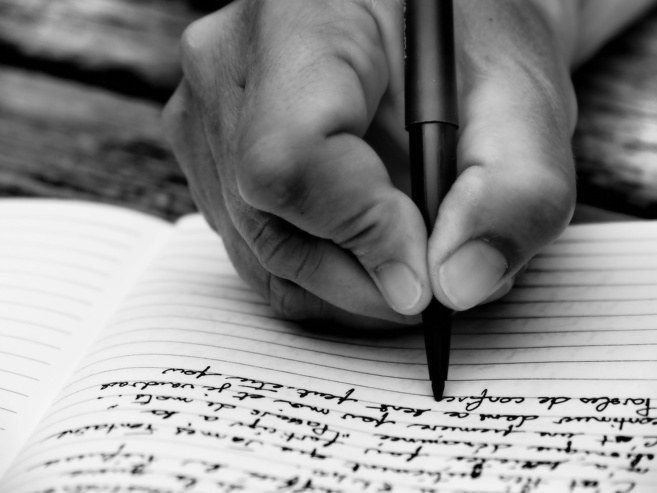 Photo#Shirley Perez Photo#Shirley Perez