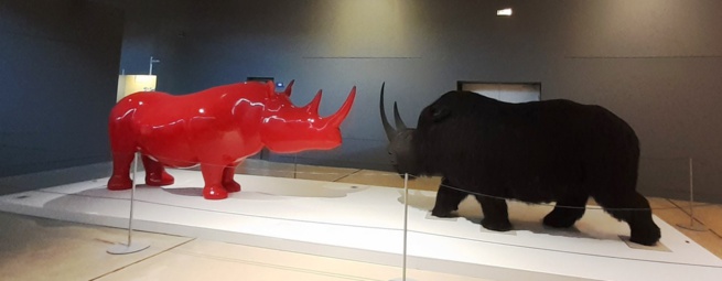 Photo : Musée départemental de préhistoire des Gorges du Verdon Photo : Musée départemental de préhistoire des Gorges du Verdon