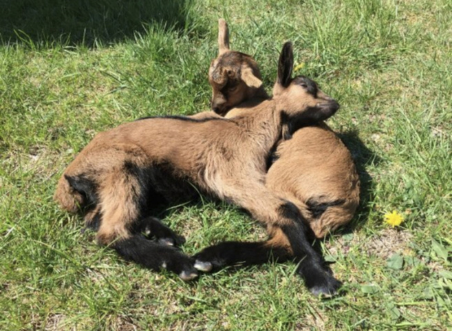 Le rêve d’enfant d’Axelle est devenu réalité Le rêve d’enfant d’Axelle est devenu réalité