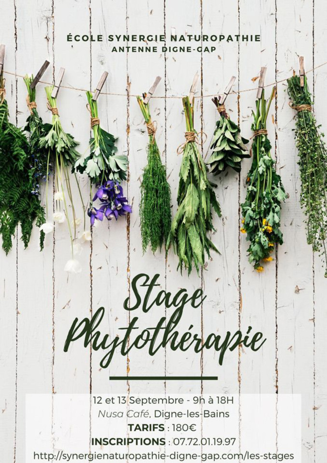 Nos amies les plantes Nos amies les plantes