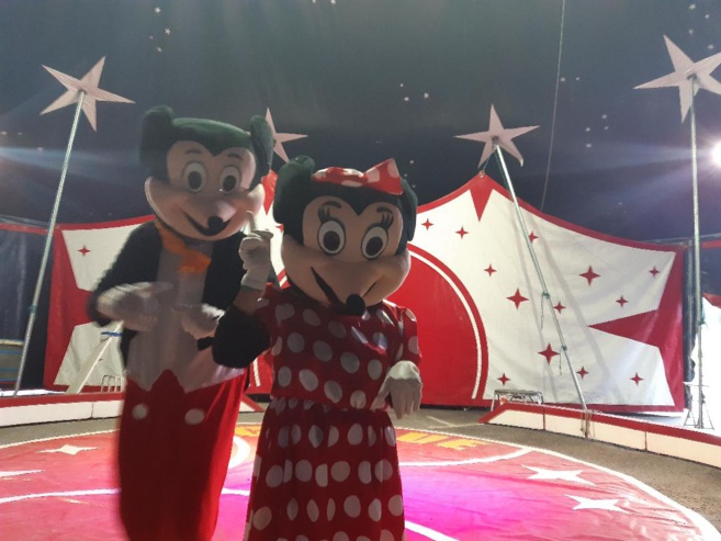 Sous le chapiteau du cirque des étoiles Sous le chapiteau du cirque des étoiles