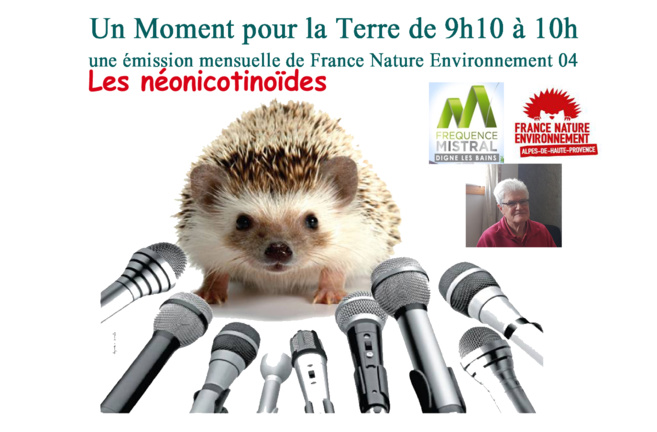 Un moment pour la terre avec France Nature Environnement - Les néonicotinoïdes Un moment pour la terre avec France Nature Environnement - Les néonicotinoïdes