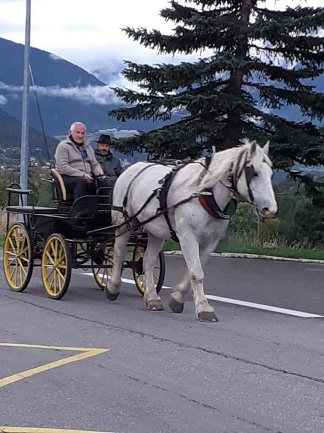 Saint chaffrey : ils vont à l’école en calèche ! Saint chaffrey : ils vont à l’école en calèche !