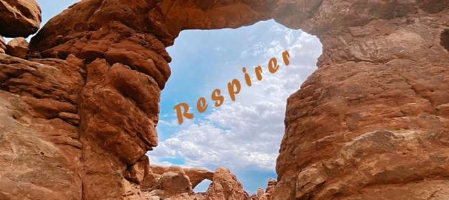 Sérénité et énergie sont à l'ordre du jour en Novembre pour l'Art de vivre ! Sérénité et énergie sont à l'ordre du jour en Novembre pour l'Art de vivre !