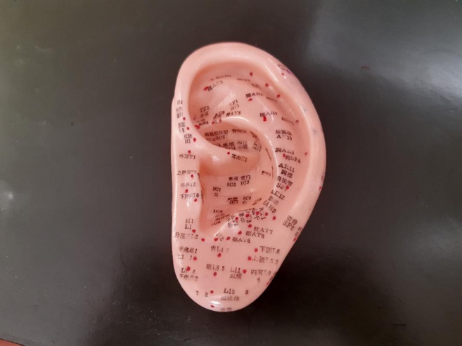 L'Auriculotheraphie pour un mieux-être L'Auriculotheraphie pour un mieux-être