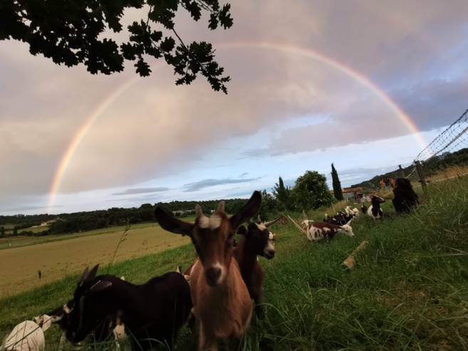 Un « retour à la terre » original Un « retour à la terre » original