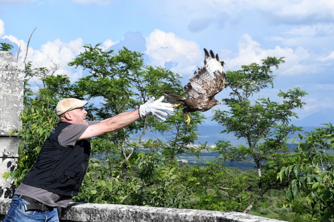 La "Ligue de Protection des Oiseaux" active dans le 04 La "Ligue de Protection des Oiseaux" active dans le 04
