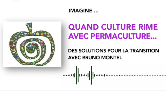 Imagine du 07 Novembre 2020 Imagine du 07 Novembre 2020