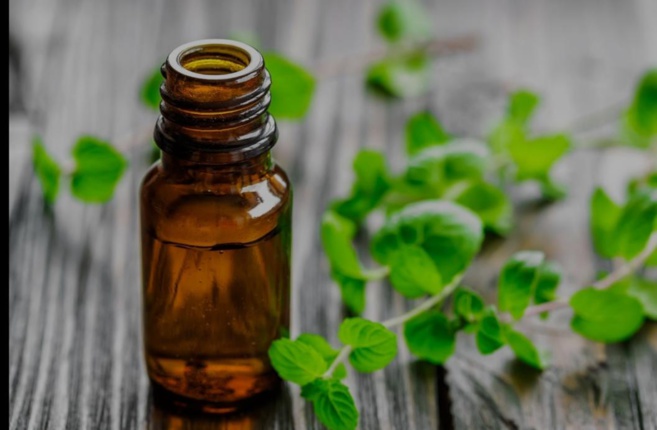 les huiles essentielles de l'hiver les huiles essentielles de l'hiver