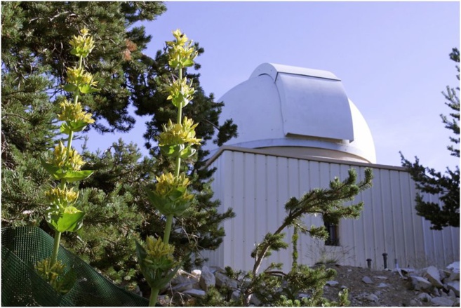 A la découverte du ciel étoilé de Provence A la découverte du ciel étoilé de Provence