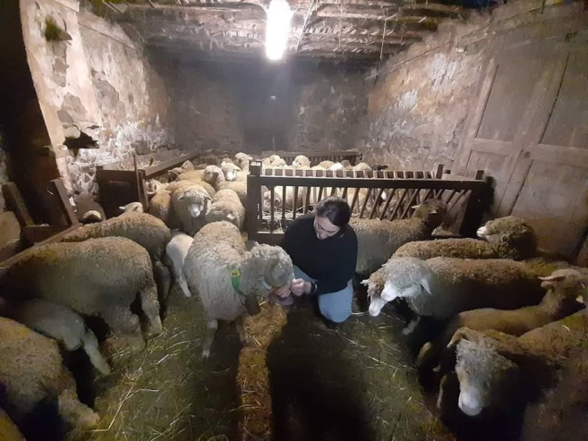 Rencontre avec notre 2 ème dauphine de miss agricole dans sa bergerie Rencontre avec notre 2 ème dauphine de miss agricole dans sa bergerie