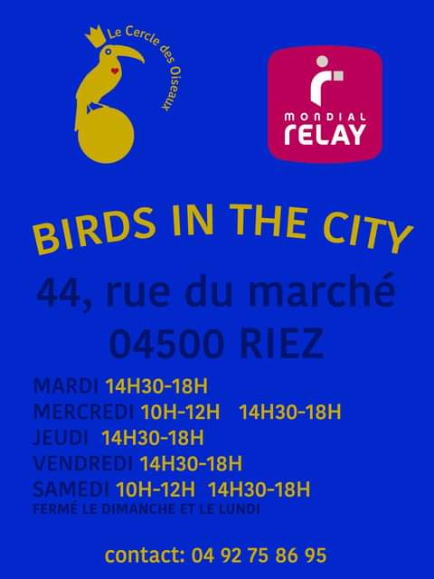 Riez,  Mondial Relay : Birds in the city !