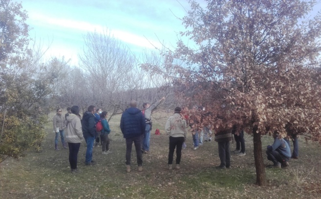 Allemagne-en-Provence : Implanter son verger diversifié Allemagne-en-Provence : Implanter son verger diversifié