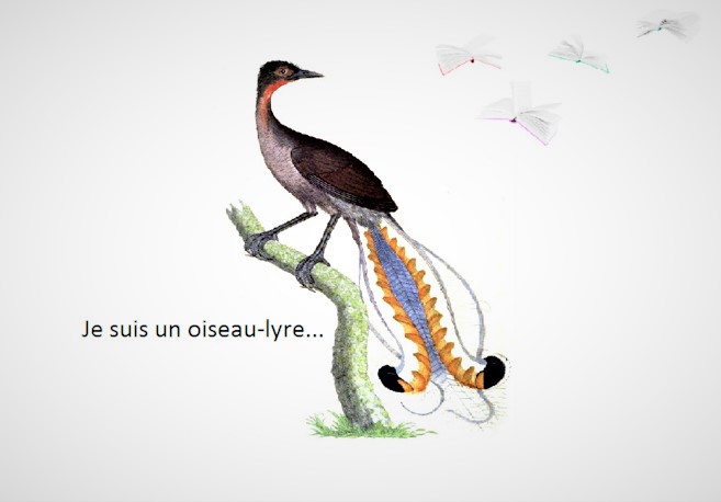 Je suis un oiseau-lyre # Le festin du mercredi des cendres (de l'auteure Olga Tokarczuk)