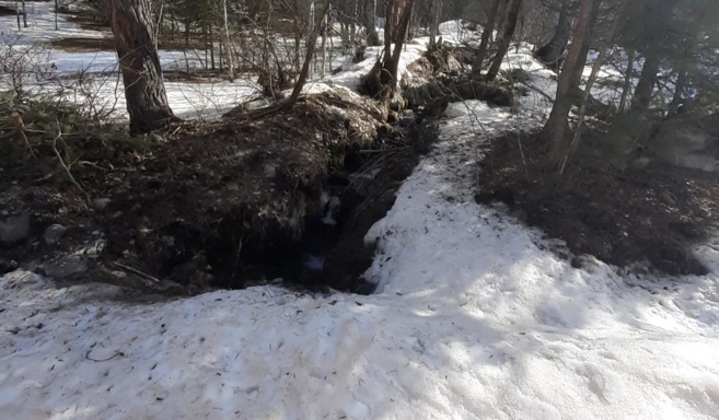 Du Biathlon pour les adultes et les enfants Du Biathlon pour les adultes et les enfants