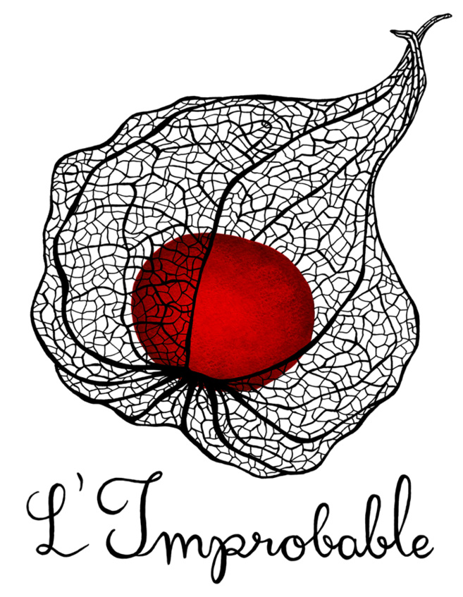 Un stage de danse « singulier » Un stage de danse « singulier »