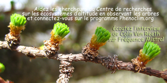 Le réchauffement climatique : quel impact sur les arbres ? Les chercheurs ont besoin des citoyens Le réchauffement climatique : quel impact sur les arbres ? Les chercheurs ont besoin des citoyens