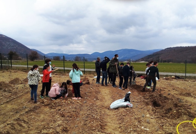 Des pistaches pour le climat et le chocolat Des pistaches pour le climat et le chocolat