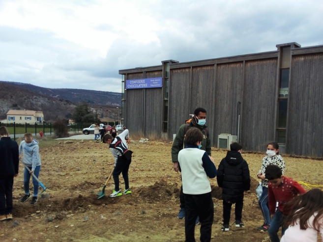 Des pistaches pour le climat et le chocolat Des pistaches pour le climat et le chocolat
