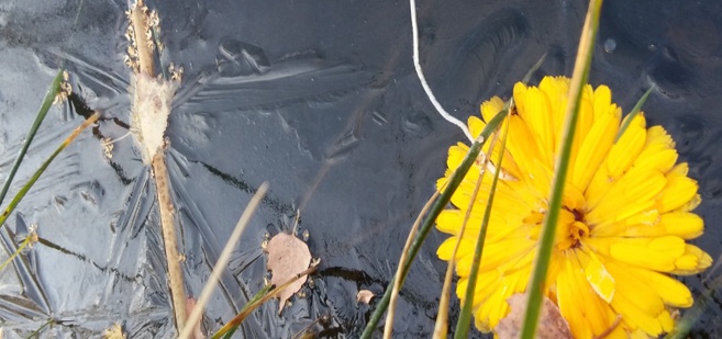 Des stages de médecine Symbolique à Briançon Des stages de médecine Symbolique à Briançon