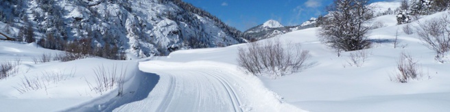 Un très bel hiver pour le Nordique Un très bel hiver pour le Nordique