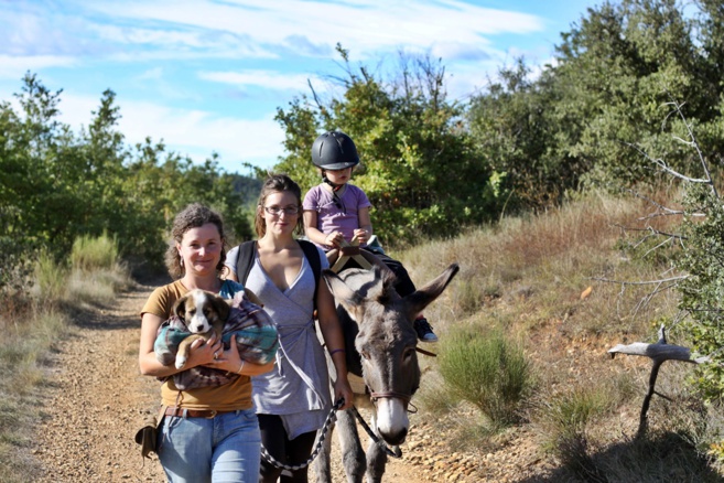 Visite originale à la safr’ânerie de Saint-Martin de Brômes Visite originale à la safr’ânerie de Saint-Martin de Brômes