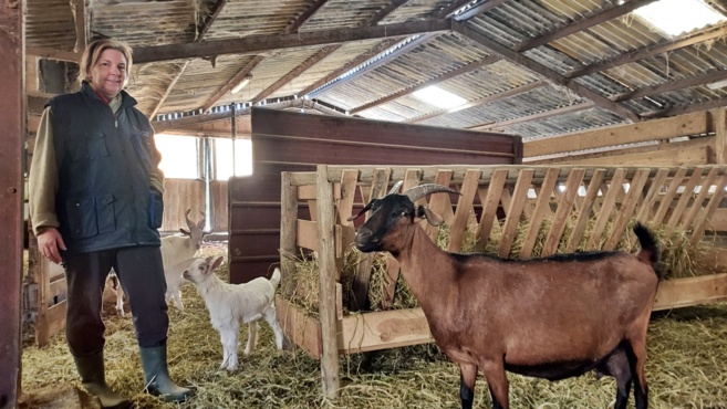 destination Haute-Provence : La ferme de la Pierrine à Valensole destination Haute-Provence : La ferme de la Pierrine à Valensole