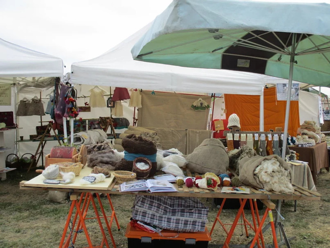 Une association pour valoriser la laine des brebis Une association pour valoriser la laine des brebis