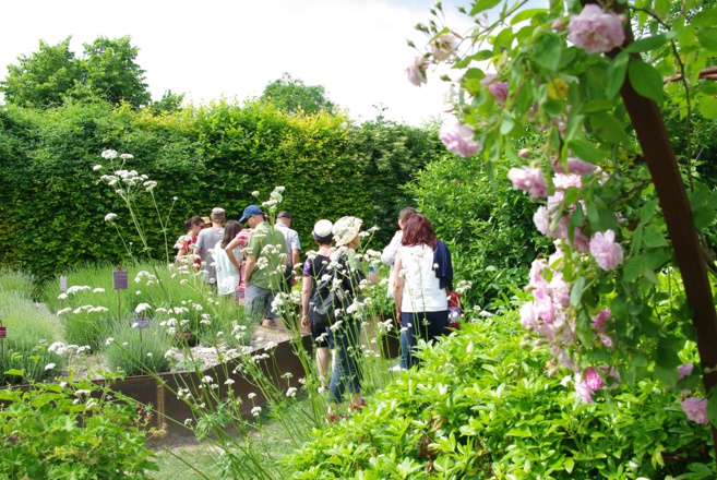 « Rendez-vous aux jardins » au musée de Salagon le 5 et 6 juin « Rendez-vous aux jardins » au musée de Salagon le 5 et 6 juin