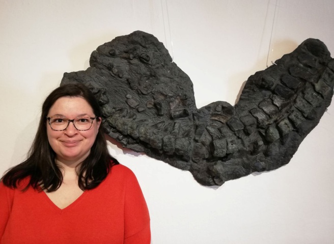 Temps fossiles, temps présent Temps fossiles, temps présent