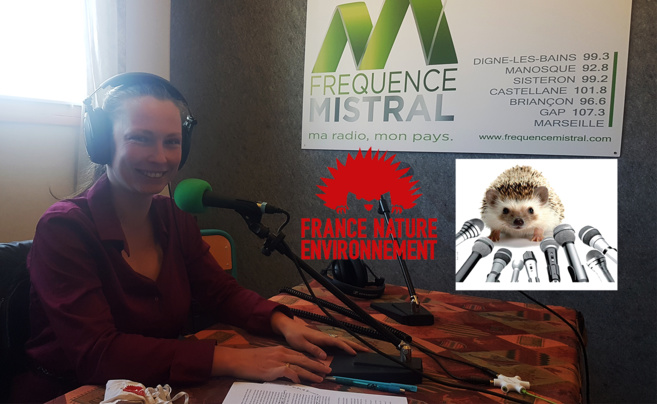 Liza Cugnier Liza Cugnier