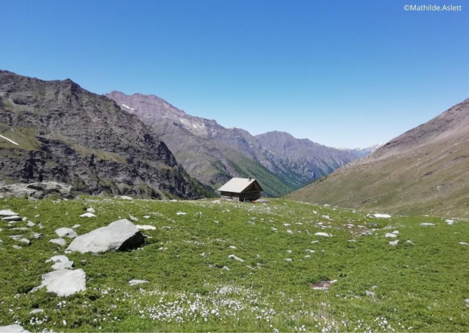 Appels à candidatures pour les résidences Image et Audiovisuel à l’ACSSQ Appels à candidatures pour les résidences Image et Audiovisuel à l’ACSSQ