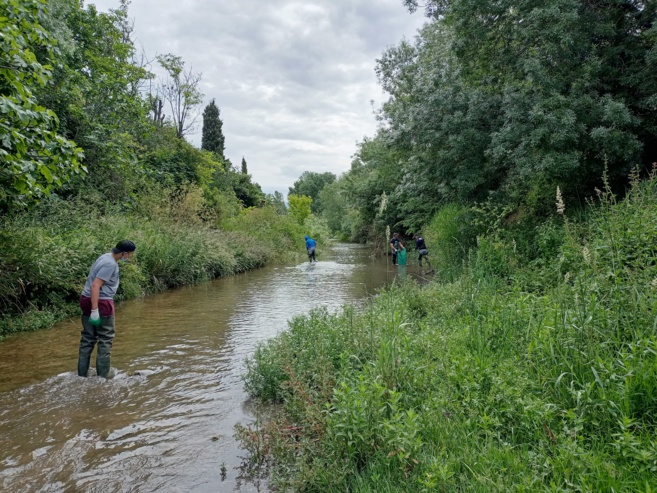 02/06/2021 - IRSAM - La Penne sur Huveaune - Parc Jean Claude Alexis 02/06/2021 - IRSAM - La Penne sur Huveaune - Parc Jean Claude Alexis