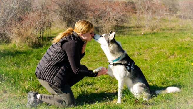 Pets'House 05, pour le bien être et la santé de vos animaux adorés ! Pets'House 05, pour le bien être et la santé de vos animaux adorés !